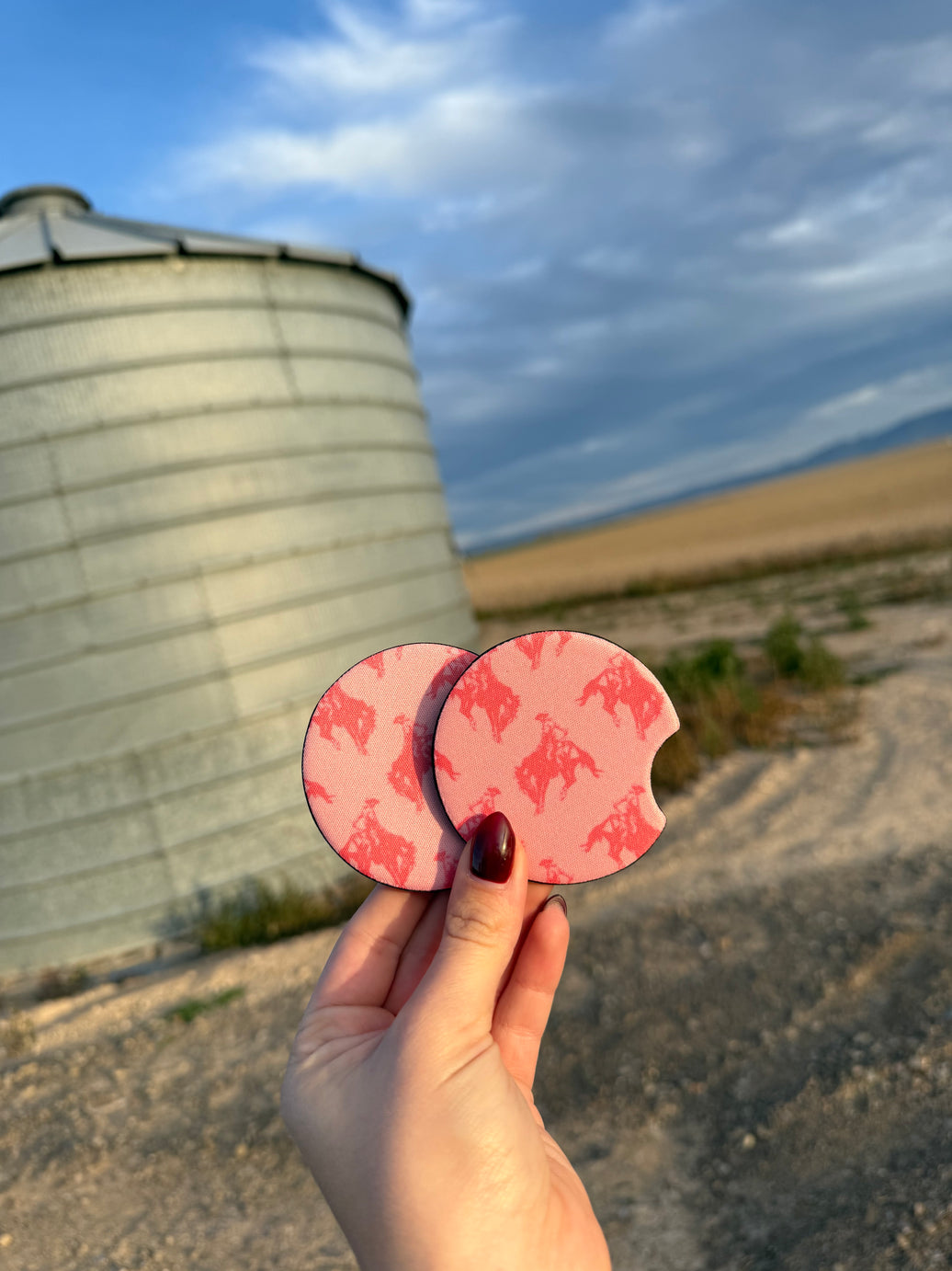 PINK BRONC CAR COASTER
